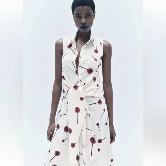 ZARA PRINTED POPLIN SHIRTDRESS ZW COLLECTION - Picture 4 of 13